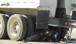 Tire Automotive tire Transport Vehicle Wheel