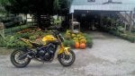 October at Heltonville 2016 o2.jpg