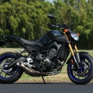 2014 fz09 39